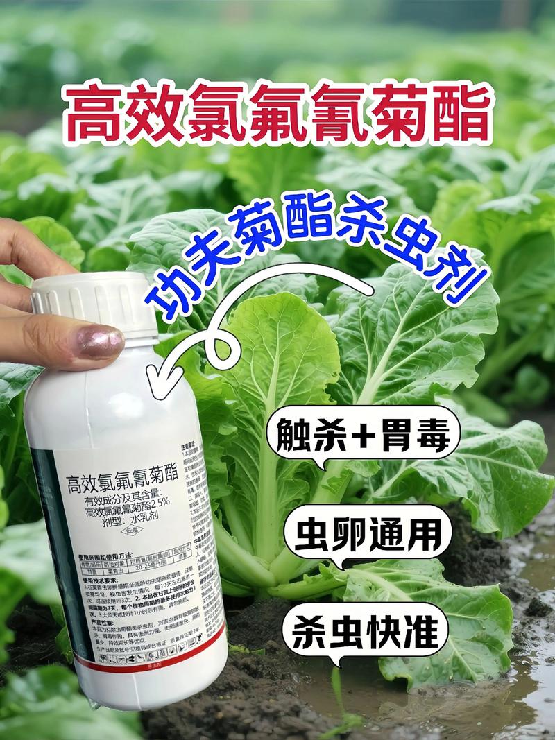 乌海代生中心:农药对供卵代生妈妈的危害